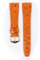 Řemínek Hirsch Prestige Crocodile - oranžový - 16 mm - L – Standardní délka (doporučujeme) - 14 mm - Zlatá - thumb (1)