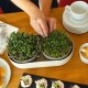 Plastia Velká farma Microgreens+Regrow, slonová kost - thumb (1)