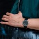 Junkers Dessau Streamline 34 951.01.02 - thumb (1)