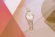 Frederique Constant Highlife Ladies Automatic FC-303V2NH3B - thumb (7)