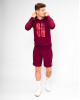 Pánská mikina BIDI BADU  Protected Leafs Chill Hoody Bordeaux M - thumb (2)