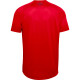 Pánské tričko Under Armour  Big Logo Tech SS Red S - thumb (4)