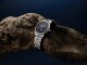Frederique Constant Slimline Ladies Moonphase Quartz FC-206MPBD1S6B - thumb (5)