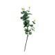 Umělý stonek Eukalyptu zelená, 67 cm - thumb (0)