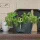 Květináč na bylinky Limes Dublo 2,3 l, grafitová - thumb (2)