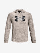 Pánská mikina Under Armour  Rival Terry Logo Hoodie-WHT L - thumb (4)