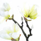 Umělá květina Magnolie bílá, 55 cm - thumb (1)
