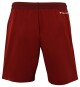 Pánské šortky Tecnifibre  Club Short Cardinal S - thumb (1)
