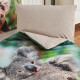 4Home Povlečení Koala bear renforcé, 140 x 200 cm, 70 x 90 cm - thumb (1)