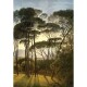 Fototapeta Old Trees 180 x 255 cm, 2 díly - thumb (0)