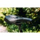 Sedlo Selle Royal  Vaia Moderate - thumb (6)