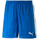 Pánské šortky Puma  Pitch  bílo-zelená, L - thumb (6)