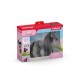 Schleich 42581 Klisna plemene Criollo Definitivo s česací hřívou - thumb (3)