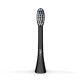Concept ZK0051 náhradní hlavice PERFECT SMILE Daily Clean, 4 ks, černá - thumb (1)