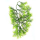 Umělá květina Asparagus, 40 cm - thumb (0)