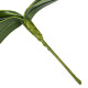 Umělý List orchideje, v. 20 cm  - thumb (2)