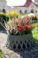Plastia Samozavlažovací žardina Roseta - 30 cm stříbrná - thumb (2)