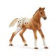 Schleich 42433 Appalosští koně a tréninkové příslušenství, 7 ks - thumb (3)