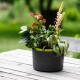 Plastia Samozavlažovací závěsný květináč Berberis antracit + zelená, pr. 26 cm - thumb (8)