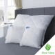 Kvalitex Polštář Aloe Vera se zipem 300 g, 40 x 40 cm - thumb (1)