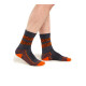 Pánské ponožky Icebreaker Merino Hike+ Light Crew Natural Summit Graphite/Blaze/Black  S - thumb (1)