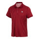 Pánské tričko Fila  Polo Stripes Björn Cabernet/White Alyssum L - thumb (0)