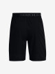 Pánské šortky Under Armour  Vanish Woven 8in Shorts-BLK L - thumb (4)