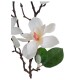 Umělá větvička Magnolie bílá, 64 cm - thumb (2)