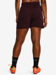 Dámské šortky Under Armour  W's Ch. Knit Short-MRN S - thumb (6)