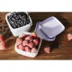 SmartStore Sada plastových dóz Freezer 2 ks, levandule, 1200 ml, 1200 ml - thumb (2)