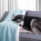 ArtFlhf Deka SHLEEPY | babyblue 130 x 180 cm - thumb (9)