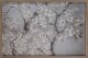 ArtFir Obraz KVĚTY 628 | béžová 60 x 40 cm - thumb (0)