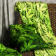 4Home bavlněné povlečení Aromatica, 160 x 200 cm, 70 x 80 cm - thumb (5)