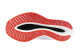Dámská běžecká obuv Mizuno Wave Rebellion Pro 2 White/Harbor Mist/Cayenne  UK 4 - thumb (3)