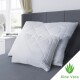 Kvalitex Polštář Aloe Vera Alaska zip, 70 x 90 cm - thumb (1)