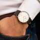Junkers Dessau Streamline 40 950.02.03 - thumb (3)