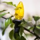 Venkovní osvětlení Šiška barevná, 20 LED Filament žárovky, prodloužení - thumb (2)