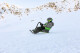 Skidrifter Gizmo Riders  Mystic Green - thumb (19)