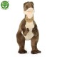 Rappa Plyšový dinosaurus tyranosaurus, 43 cm ECO-FRIENDLY - thumb (2)