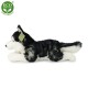 Rappa Plyšový pes husky, 36 cm ECO-FRIENDLY - thumb (2)