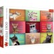 Trefl Puzzle Premium Plus Legrační kočičí tváře, 1500 dílků - thumb (1)