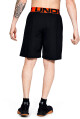 Pánské šortky Under Armour  Vanish Woven black S - thumb (4)