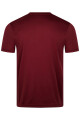 Pánské tričko Victor  T-Shirt T-43102 D XL - thumb (2)