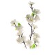 Umělá Sakura, 3 výhonky, v. 66 cm, bílá - thumb (1)