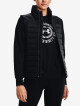 Under Armour Down 2.0 Vest-BLK - thumb (0)
