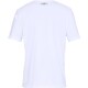 Pánské tričko Under Armour  TEAM ISSUE WORDMARK SS White 4XL - thumb (2)