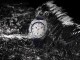 Alpina Seastrong Diver Extreme Automatic Arkea Limited Edition AL-525WARK4AE6 - thumb (8)