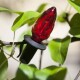 Venkovní osvětlení Šiška barevná, 20 LED Filament žárovky, základní - thumb (3)