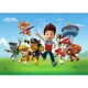 Dětská fototapeta Paw Patrol 251 x 182 cm, 4 díly - thumb (0)