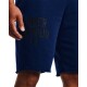 Under Armour rival terry blu - thumb (2)